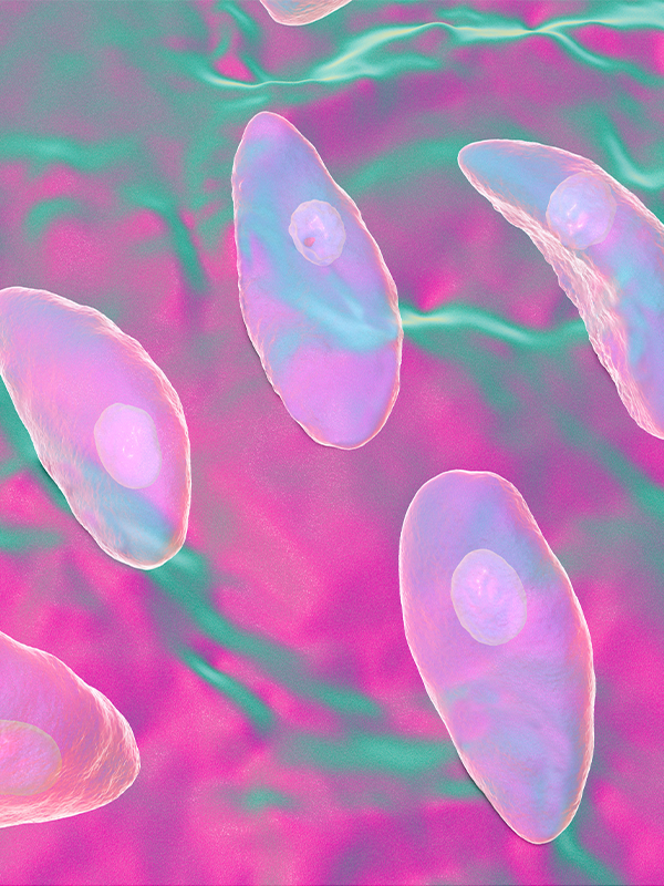 Microscopic image of a parasite representing the Parasite Cleanse Kit’s antiparasitic effects